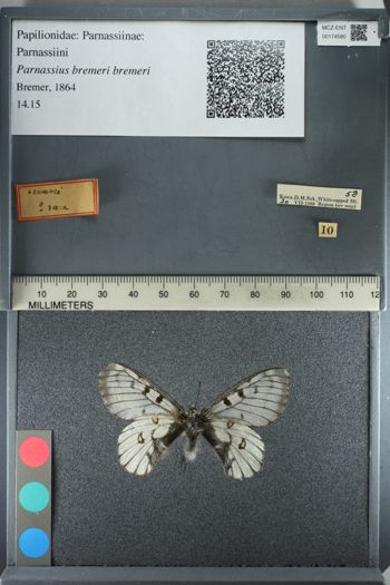 Media type: image;   Entomology 174580